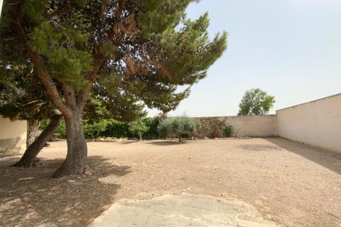 Finca i Torre Pacheco, Murcia, Torre Pacheco - € 298.000 | Ref: V498TM - foto 5